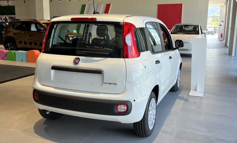 Fiat Pandina
