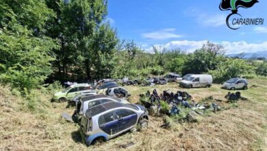 segnalazione rifiuti forestali