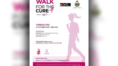 Torrice walk for the cure copia