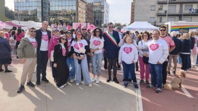 Torrice walk copia
