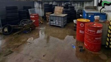 Carabinieri Forestali